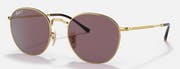 Rob - Arista - Dark Violet Polar